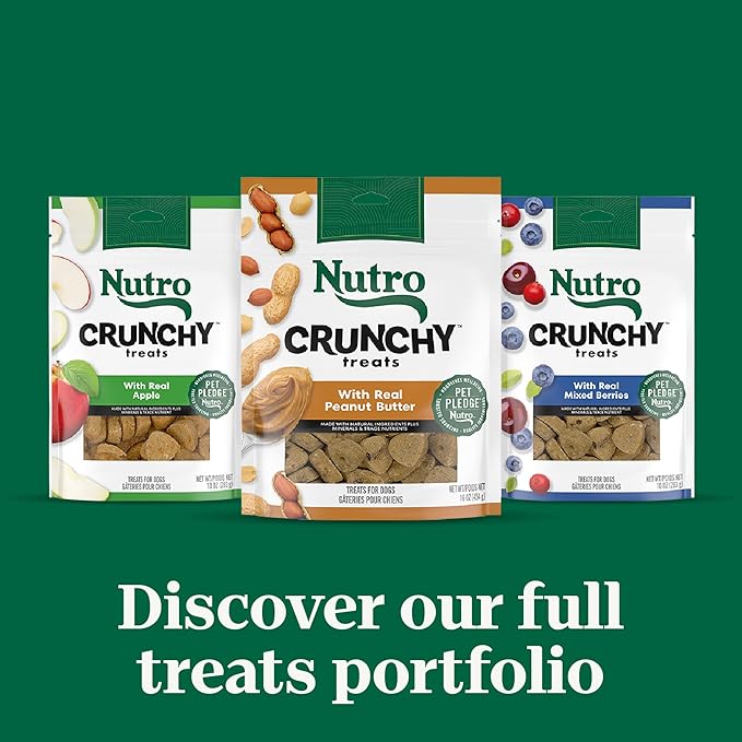 Nutro Crunchy Dog Treats with Real Apple, 10 oz. Bag